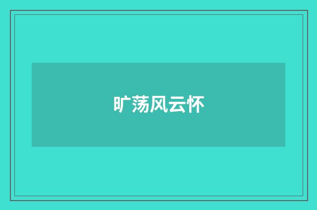 旷荡风云怀