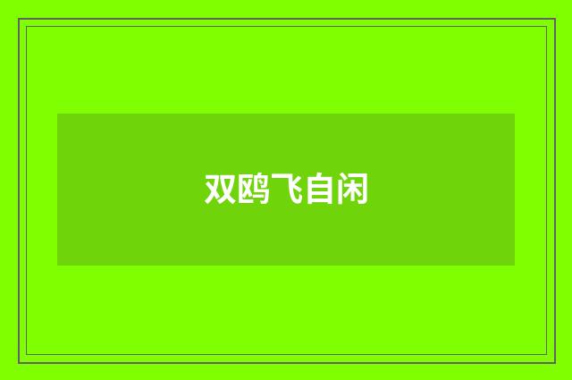 双鸥飞自闲