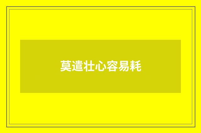 莫遣壮心容易耗