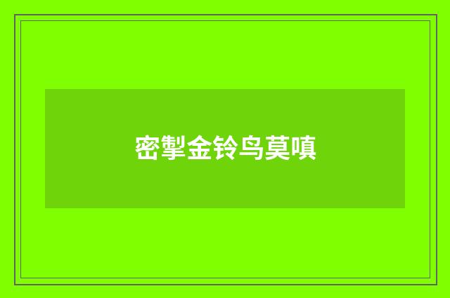 密掣金铃鸟莫嗔