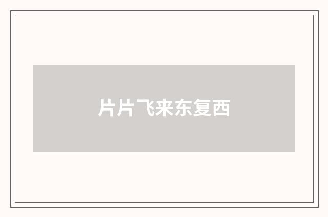片片飞来东复西