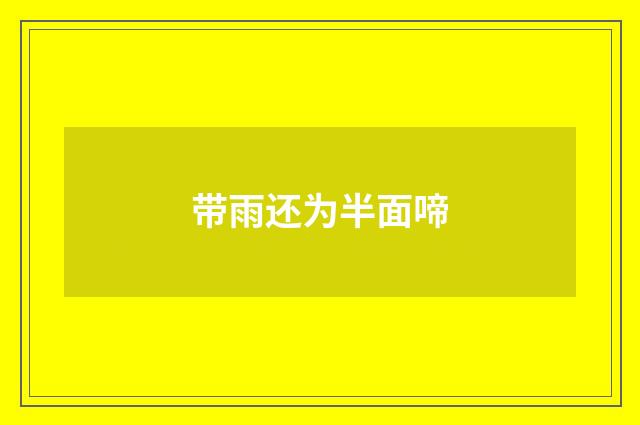 带雨还为半面啼