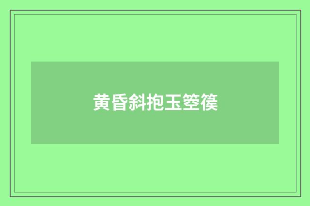 黄昏斜抱玉箜篌