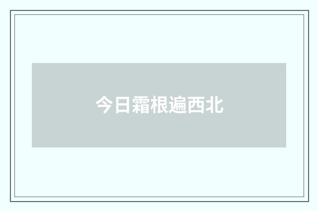 今日霜根遍西北