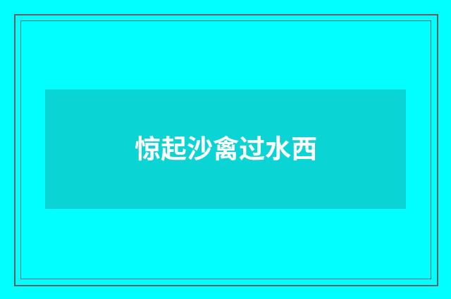 惊起沙禽过水西