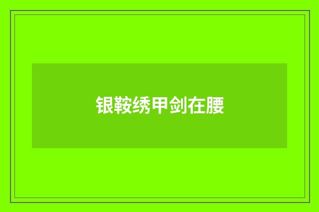 银鞍绣甲剑在腰