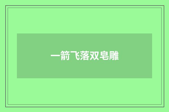 一箭飞落双皂雕