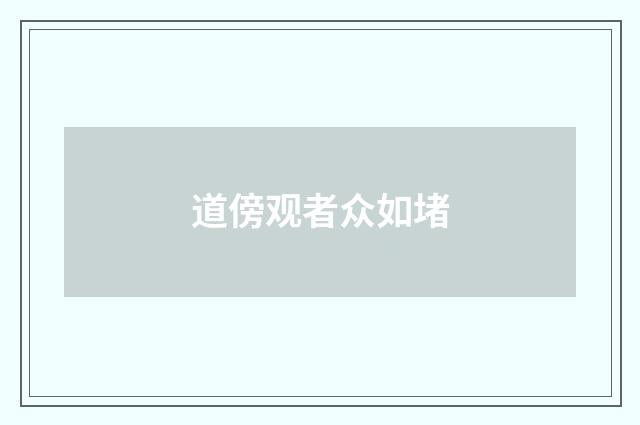 道傍观者众如堵