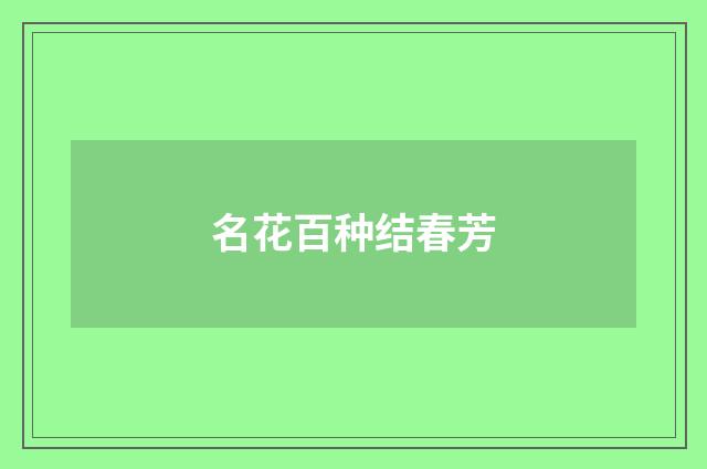 名花百种结春芳