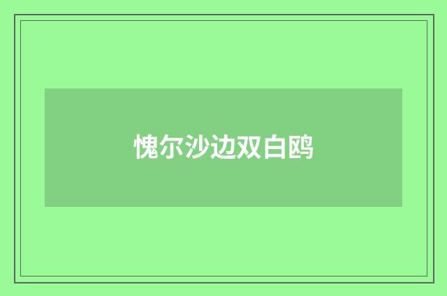 愧尔沙边双白鸥