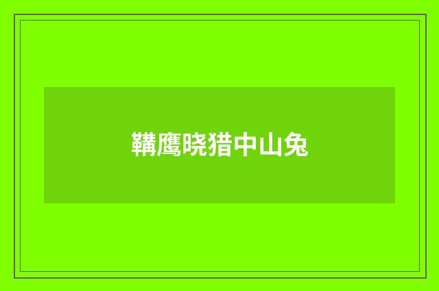 鞲鹰晓猎中山兔