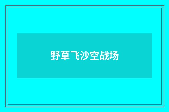 野草飞沙空战场
