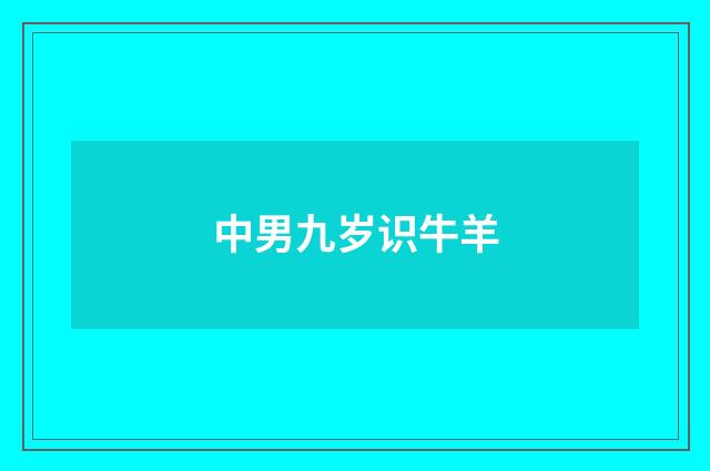 中男九岁识牛羊