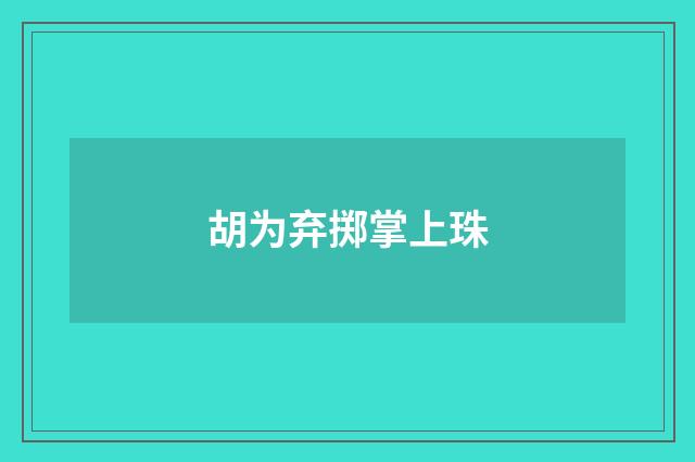 胡为弃掷掌上珠