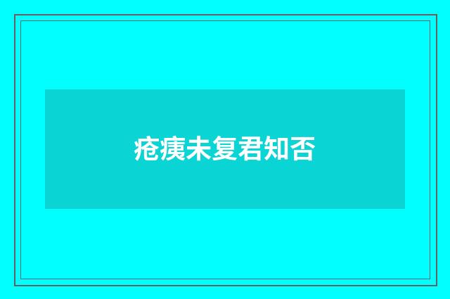 疮痍未复君知否