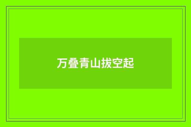 万叠青山拔空起