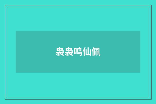 袅袅鸣仙佩