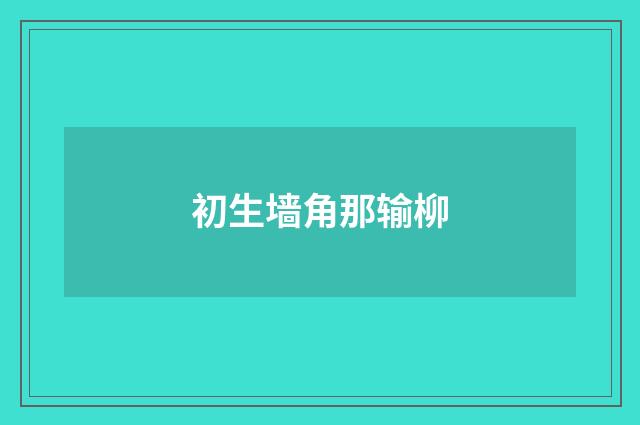 初生墙角那输柳