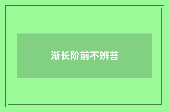 渐长阶前不辨苔