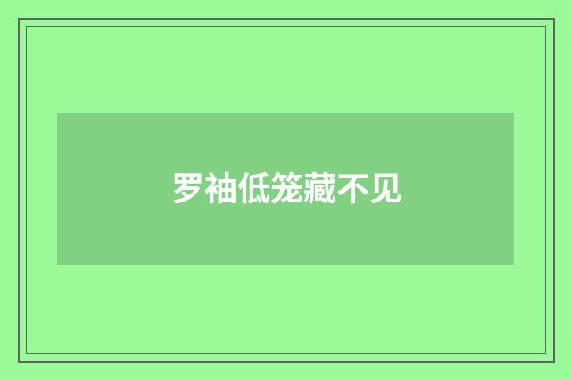 罗袖低笼藏不见