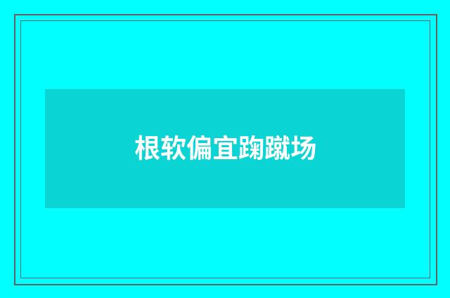根软偏宜踘蹴场