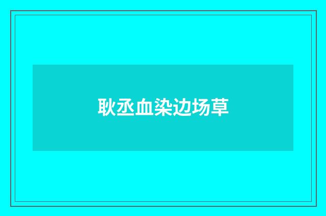 耿丞血染边场草