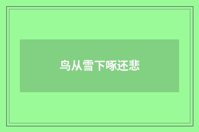 鸟从雪下啄还悲