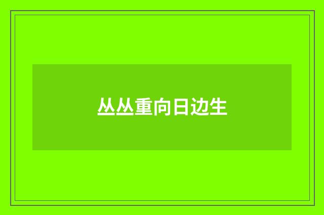 丛丛重向日边生