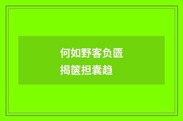 何如野客负匮揭箧担囊趋