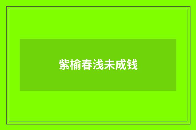 紫榆春浅未成钱