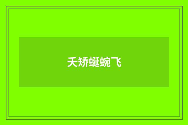 夭矫蜒蜿飞