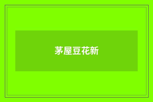 茅屋豆花新