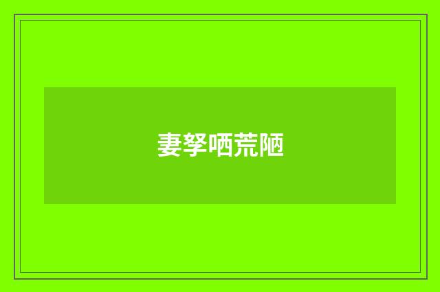 妻孥哂荒陋