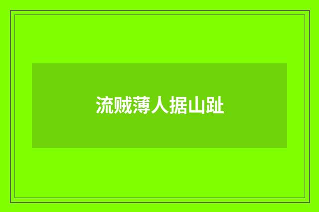 流贼薄人据山趾