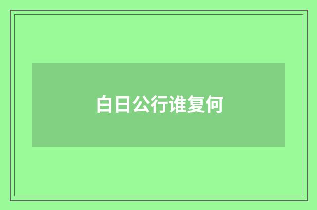 白日公行谁复何