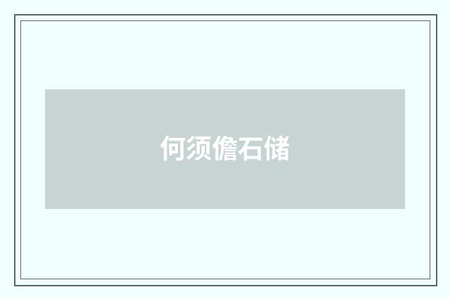 何须儋石储