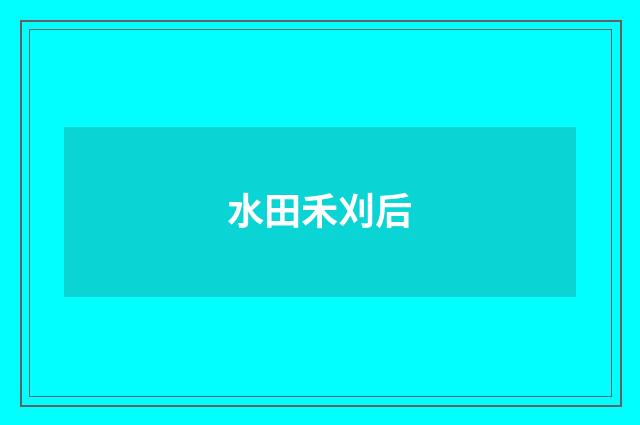 水田禾刈后