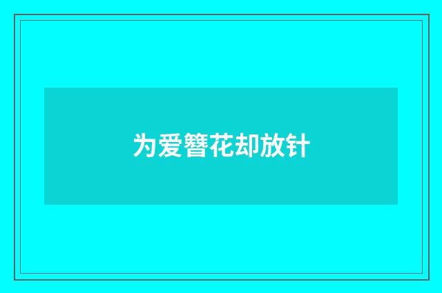 为爱簪花却放针