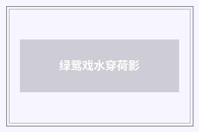 绿鸳戏水穿荷影