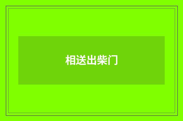 相送出柴门