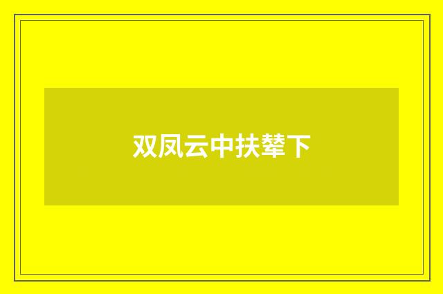 双凤云中扶辇下