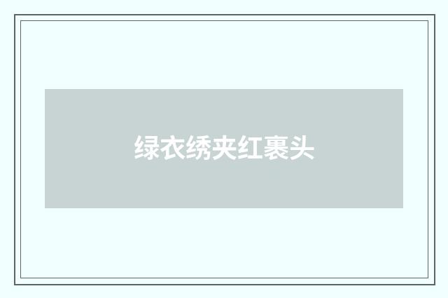 绿衣绣夹红裹头