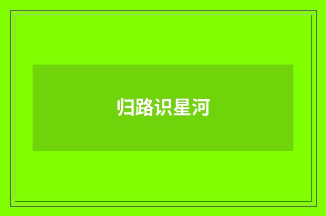 归路识星河