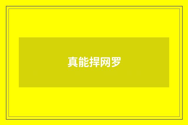 真能捍网罗