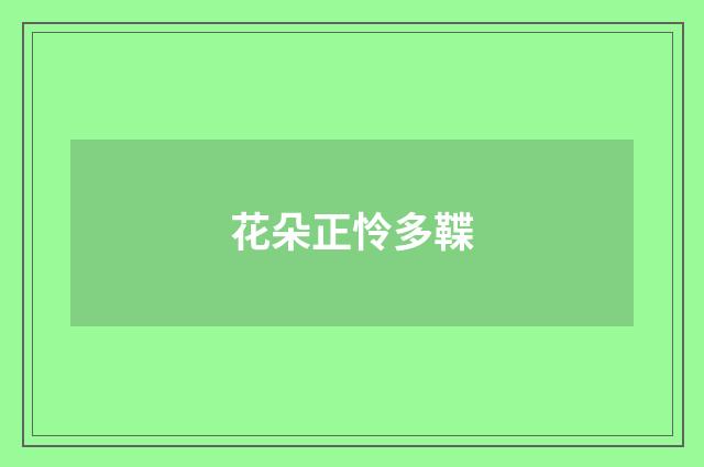 花朵正怜多鞢
