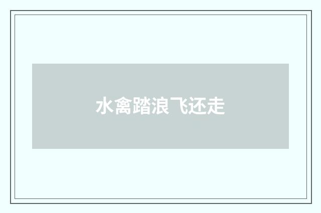 水禽踏浪飞还走