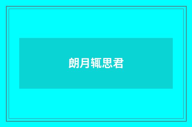 朗月辄思君