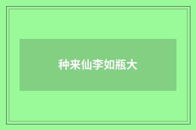 种来仙李如瓶大