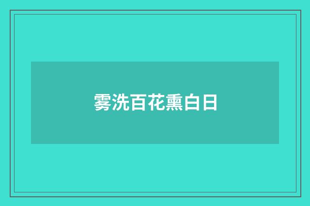 雾洗百花熏白日