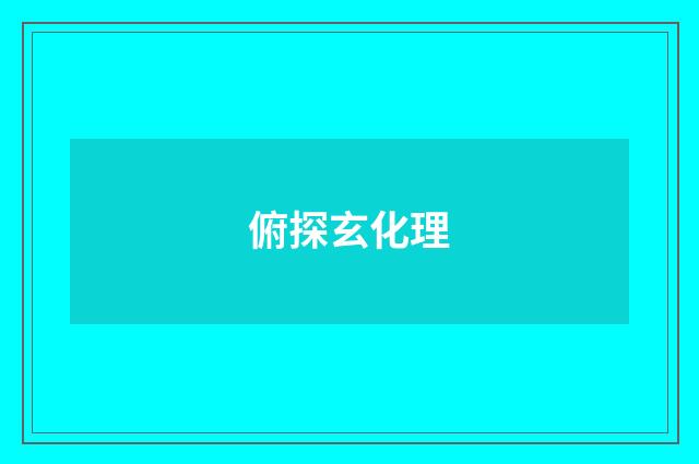 俯探玄化理